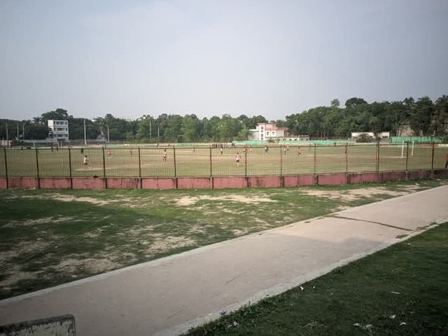 1000037572.jpg