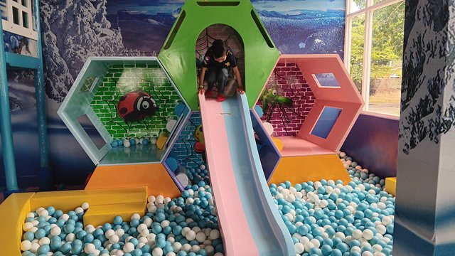 20250513_120729.jpg