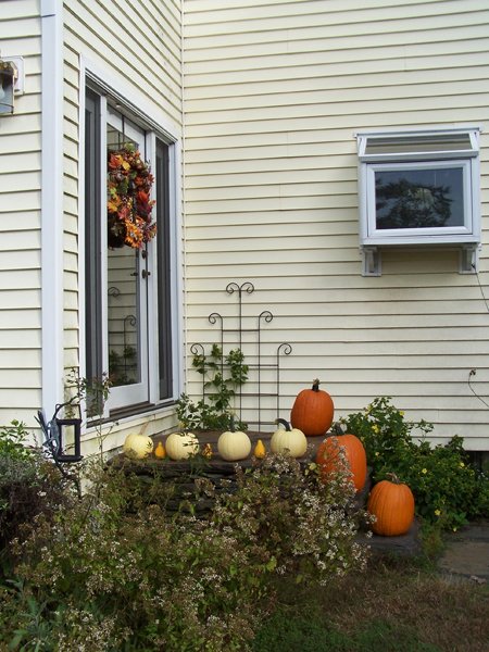Front steps with pumpkins3 crop Oct. 2018.jpg
