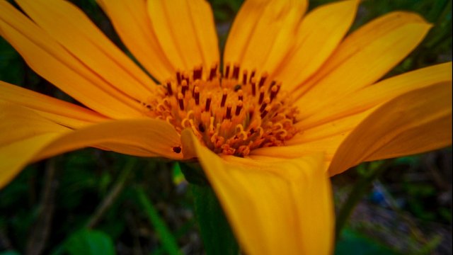 IMG_20250503_103611_
