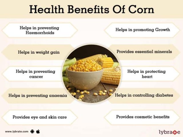 Health-Benefits-Of-Corn.jpg