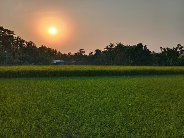 IMG_20250428_103010.jpg