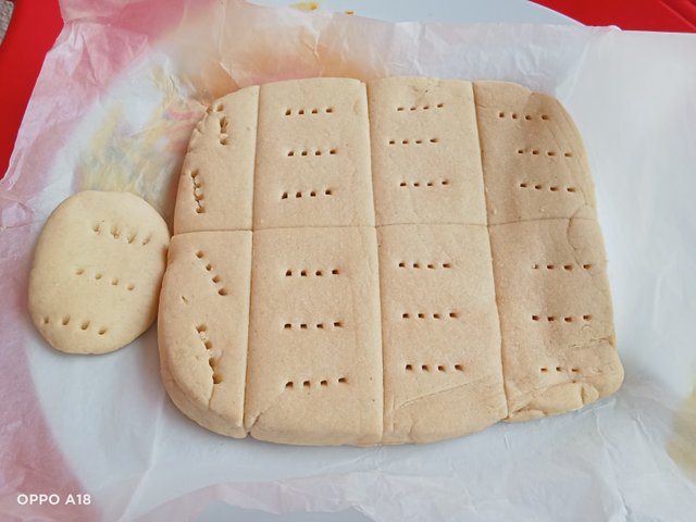 IMG20250921082543.jpg