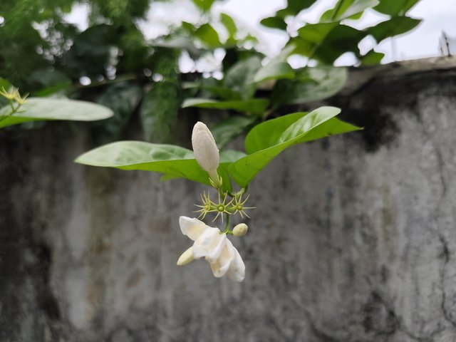 IMG_20250630_135418.jpg