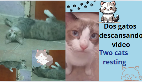 ob.PNG