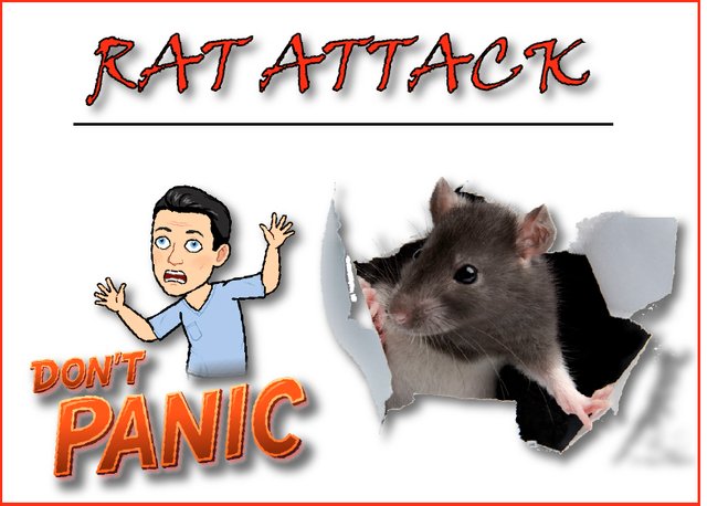 RAT ATTACK.jpg