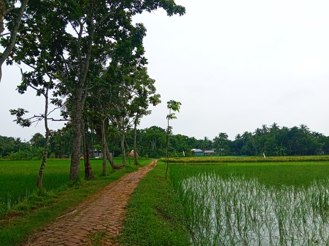 IMG_20250809_095941.jpg