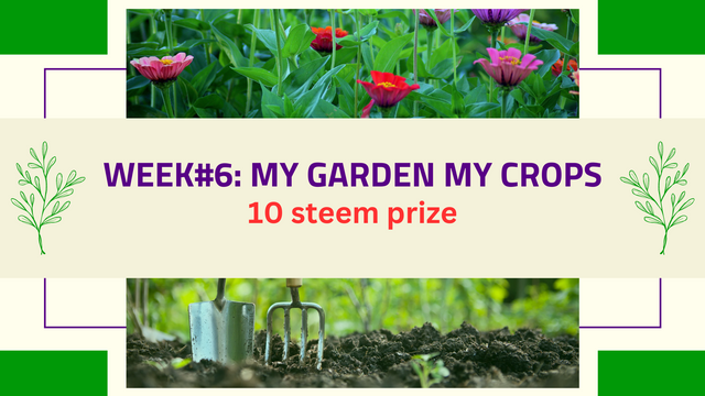 Contest my garden & ceops.png