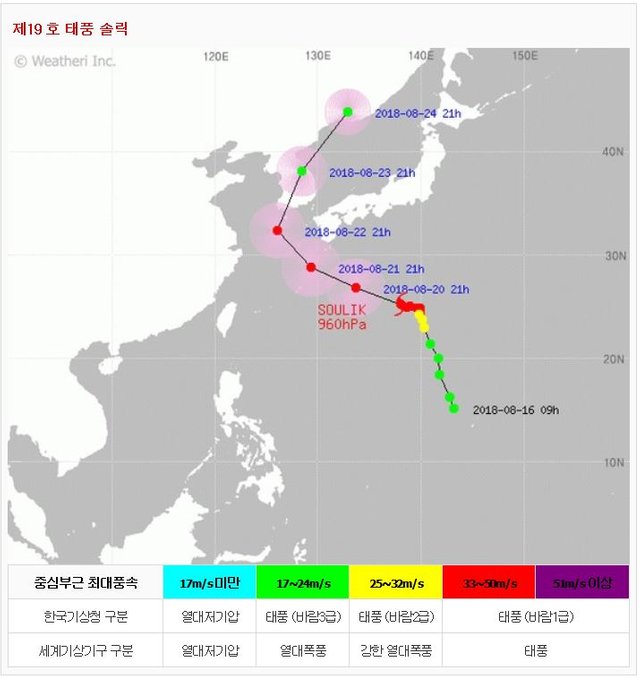 8_20_19_솔릭.JPG