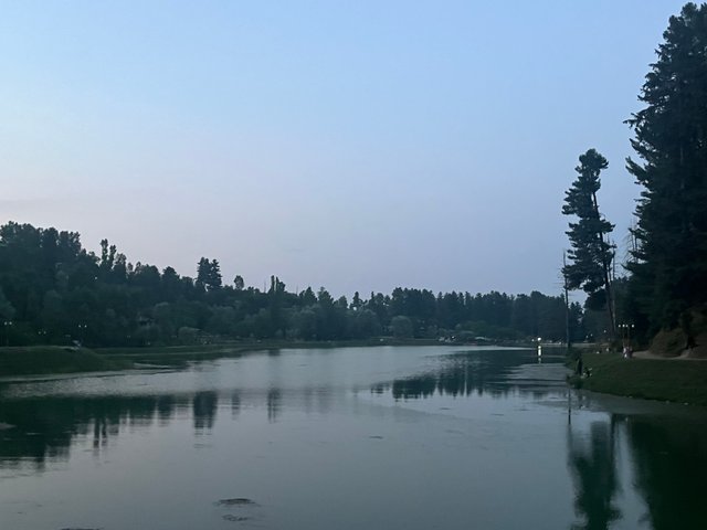 IMG_4127.jpeg