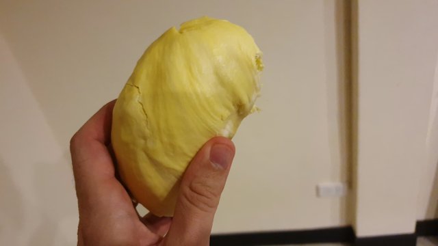 durian 1.jpg