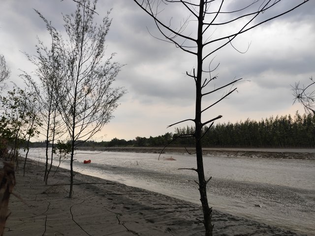 IMG_20250506_161926.jpg