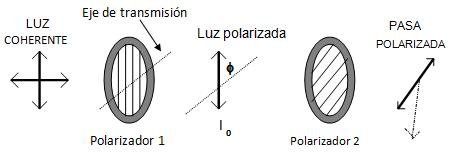 figura 1 polarizacion.jpg