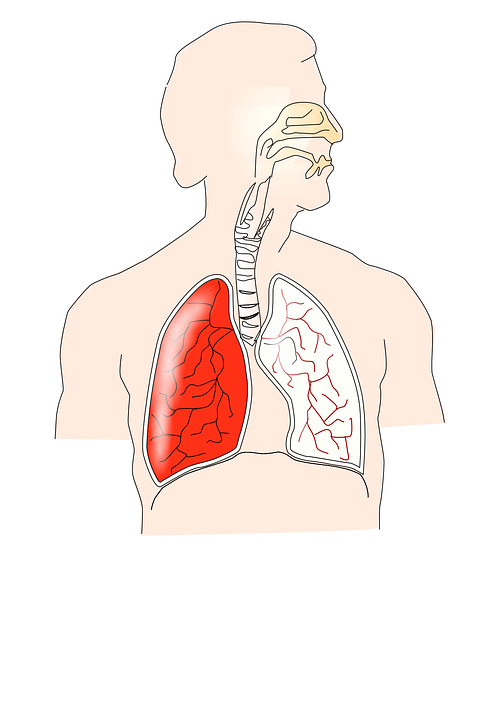 steemstem repiratory.png