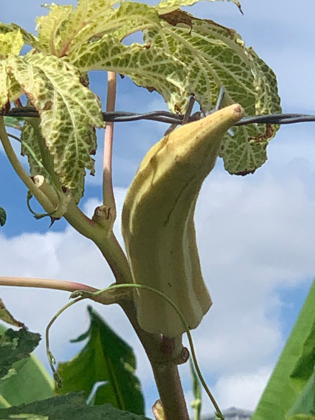 nature102.jpg