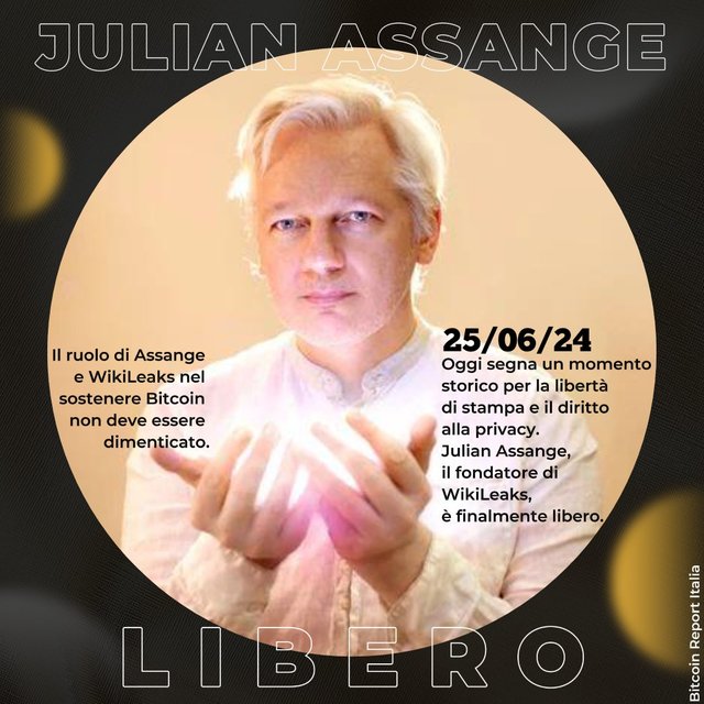 25_06 - 1. Bitcoin Julian Assange Cypherpunk Wiki.jpeg