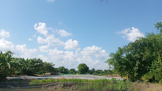 IMG_20240829_145600_2.jpg