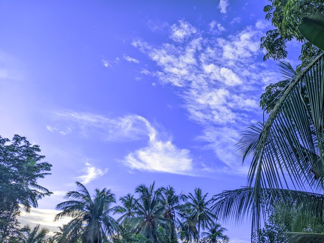 1000043438.jpg