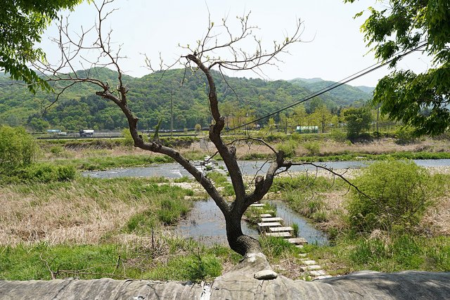 b-DSC01085.JPG