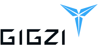 gigzi 1.png