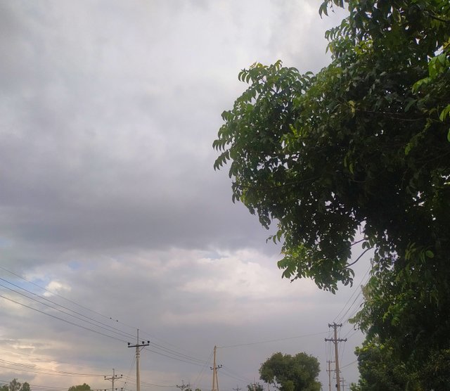 IMG_20250712_233906.jpg