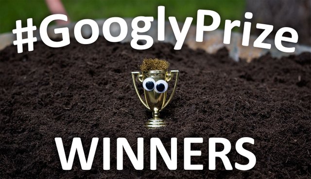 GooglyPrize GooglyEyes TitleImage Vol85