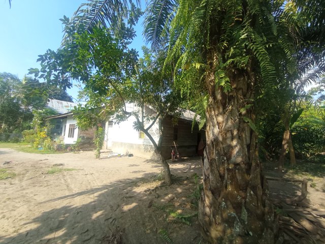IMG_20250724_160806.jpg