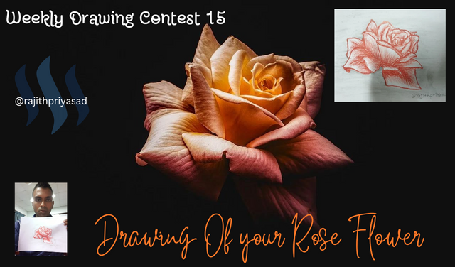 Drawing Of your Rose Flower_20240829_002311_0000.png