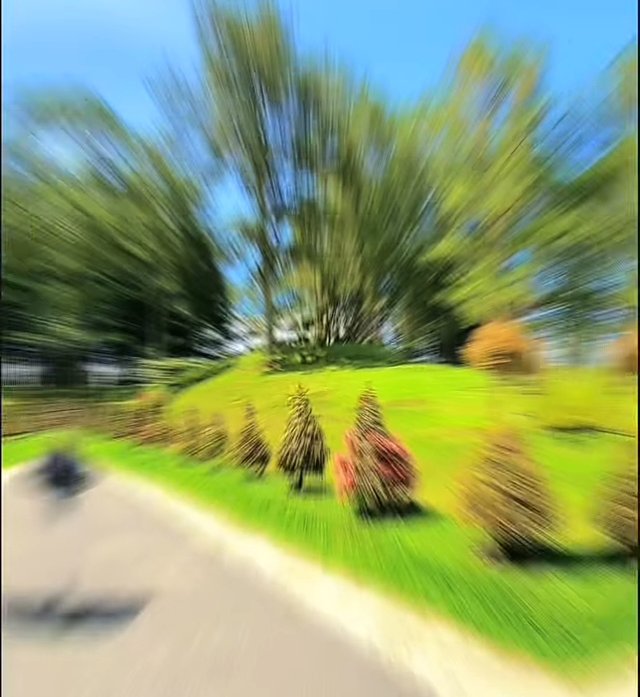 1754926225957.jpg