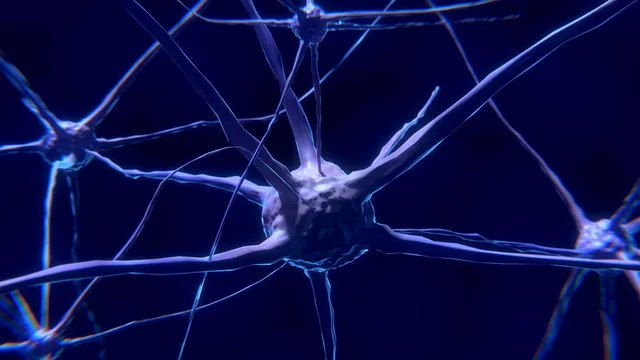 nerve-cells-2213009_1280.webp