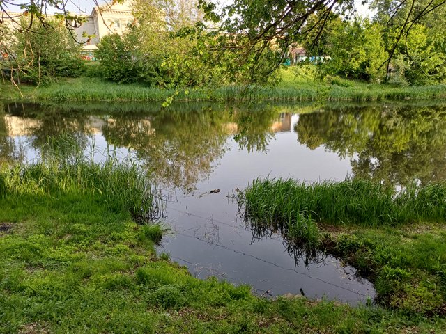 20250516_062338.jpg