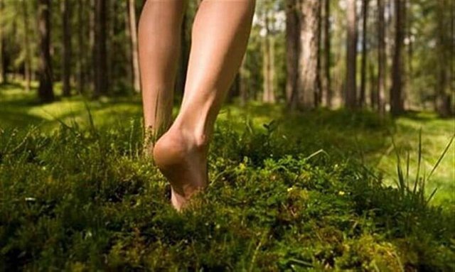 Feet-on-grass-with-trees-larger.jpeg