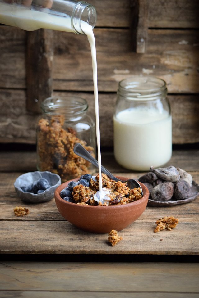 Dried Fig, Millet, and Flaxseed Granola (3).jpg
