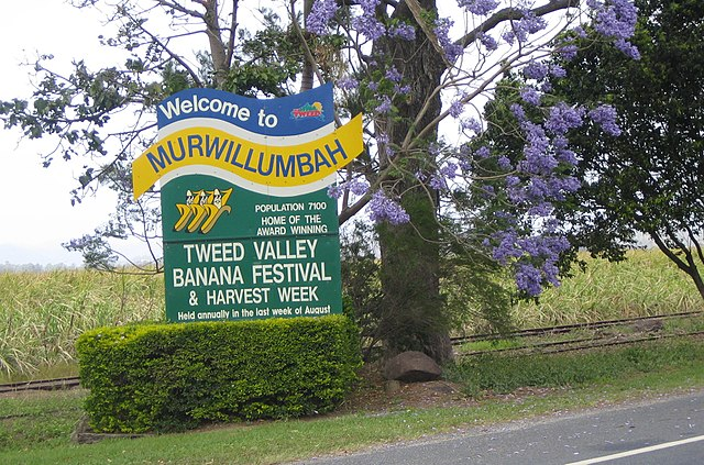 602321e1213e1-Murwillumbah-flashlight.png