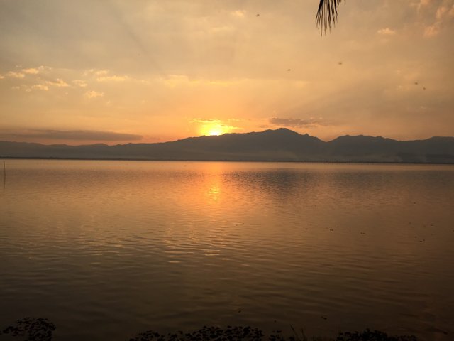 Kwan Phayao8.jpg