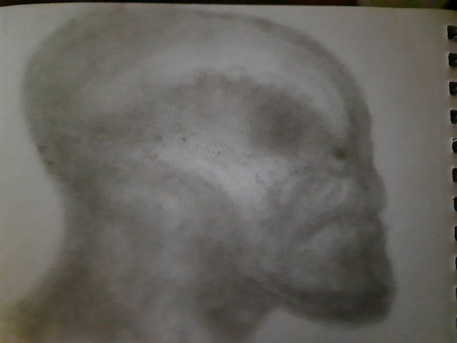 20250601_090821.jpg