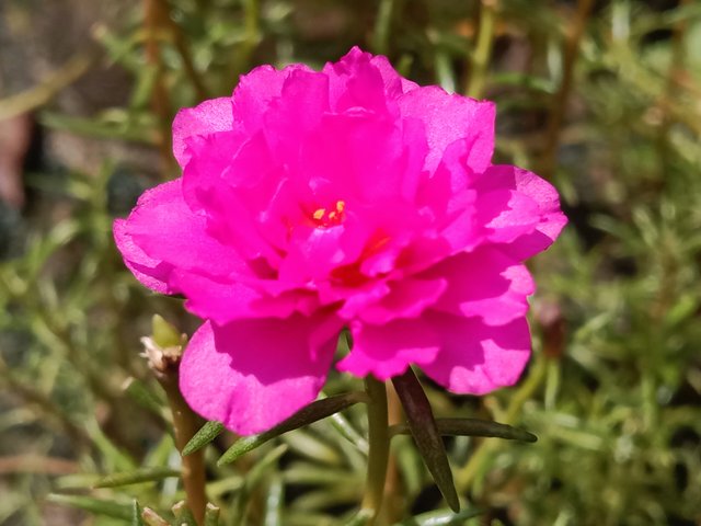 IMG_20250824_185712.jpg