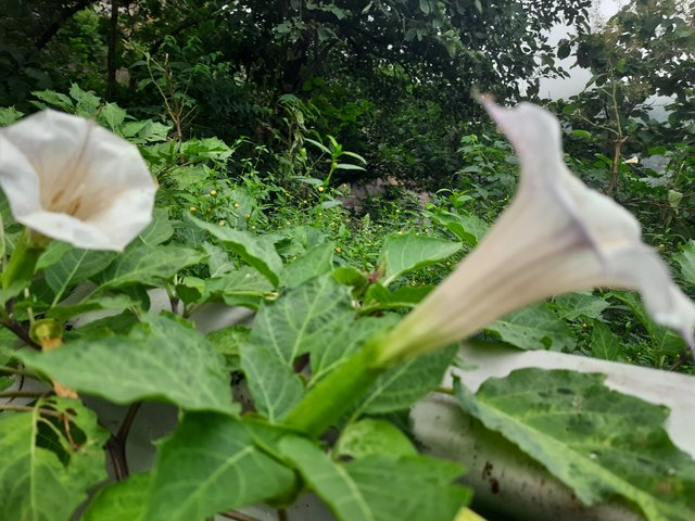 20210910_082151.jpg