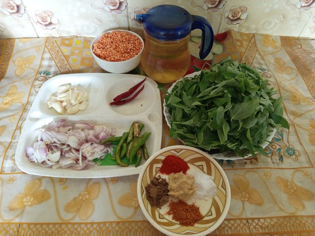 patshak (2).jpg