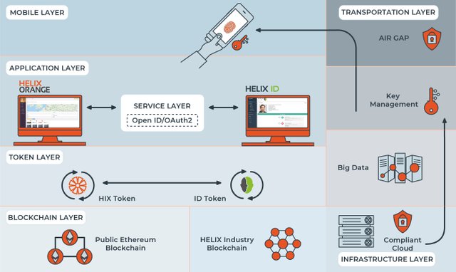 HELIX Orange_Technology Layer.jpg