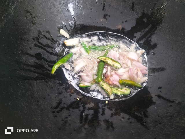IMG20250501111247.jpg