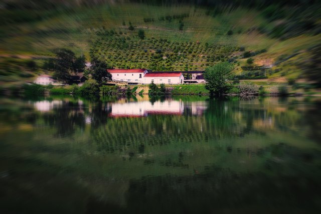 DSC_0640_2.jpg
