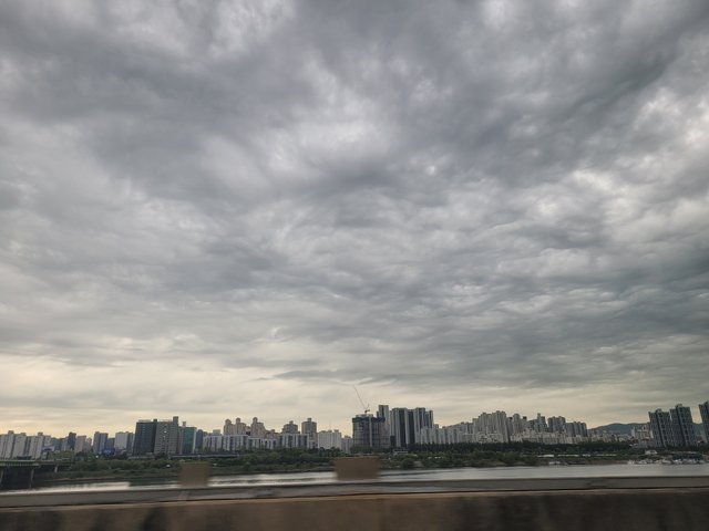 20250501_090910.jpg