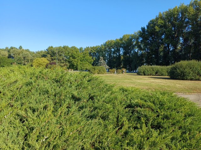 20250816_083036.jpg
