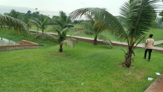 IMG_20240526_164801.jpg