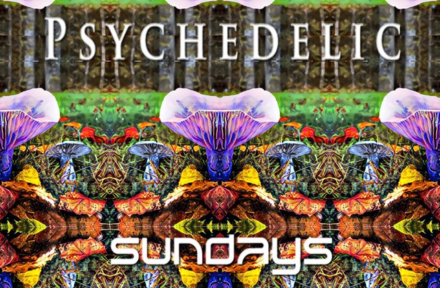 psychedelic_sundays21.jpg