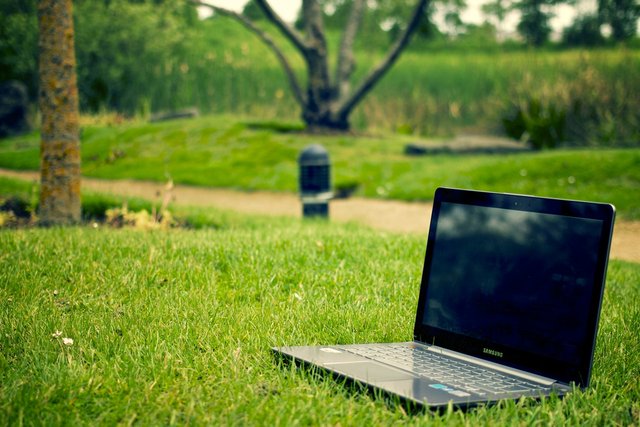 laptop-notebook-grass-meadow.jpg