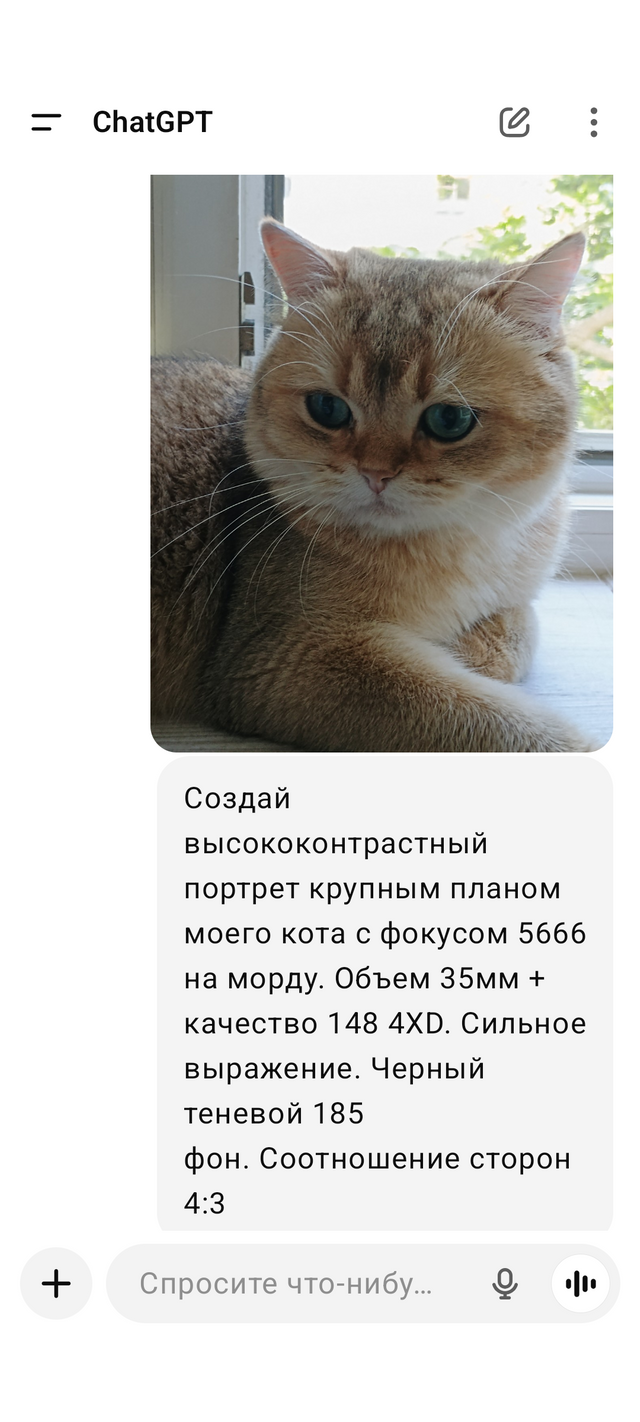 1000003079.png