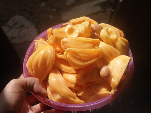 IMG20250120092902.jpg