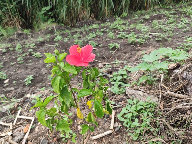 IMG_20250720_201749.